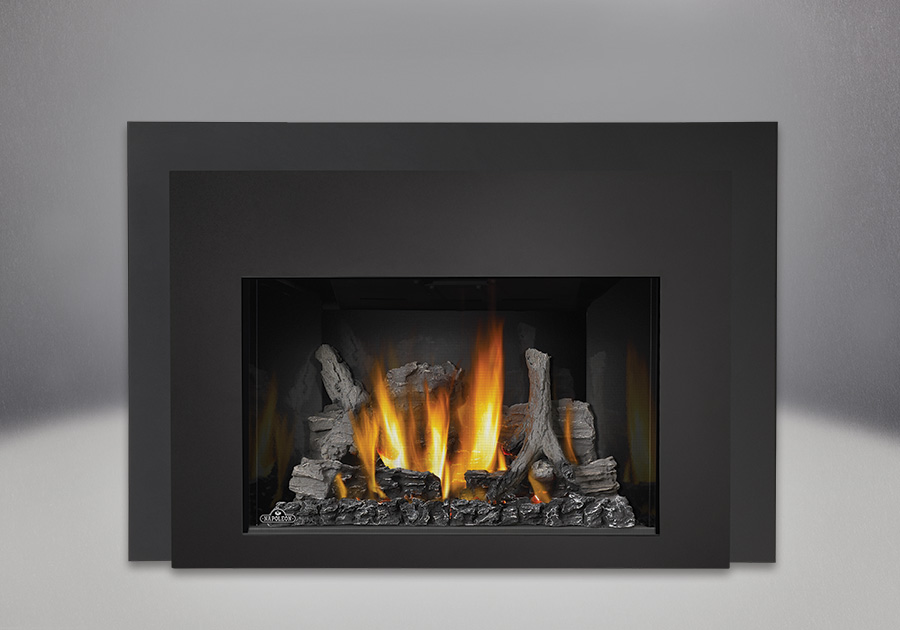 Napoleon Infrared 3 Gas Fireplace Insert Best Toronto Fireplace Design Options