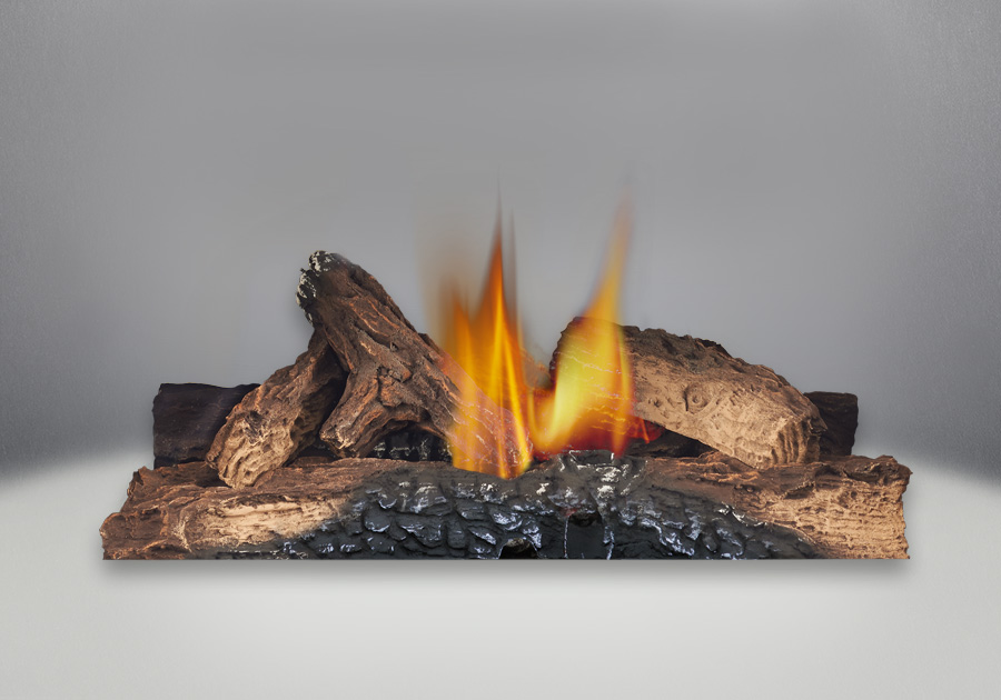 Napoleon Roxbury 3600 GAS Fireplace Insert GI3600-4NSB