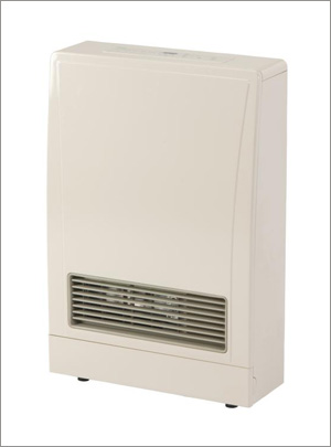 Rinnai Direct Vent Wall Furnace