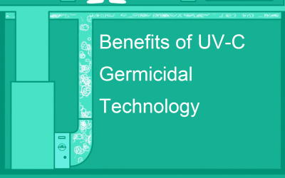 Kill Mold & Bacteria With UV Air Purifier