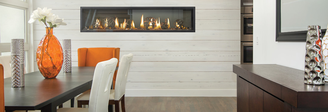 Napoleon Luxuria See Thru Series Direct Vent Gas Fireplace