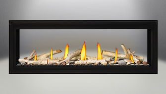 Napoleon Luxuria™ See Thru Series Direct Vent Gas Fireplace