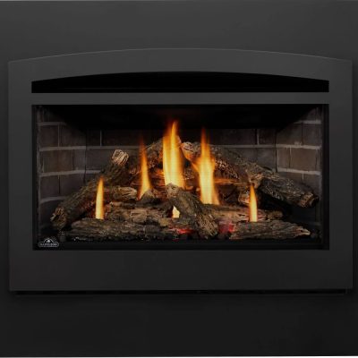 Napoleon Rosedale™ 3 Insert Gas Fireplace